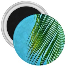 Tropical Palm 3  Magnets by TheLazyPineapple