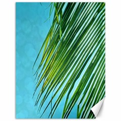 Tropical Palm Canvas 12  X 16  by TheLazyPineapple