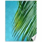 Tropical Palm Canvas 12  x 16  11.86 x15.41  Canvas - 1