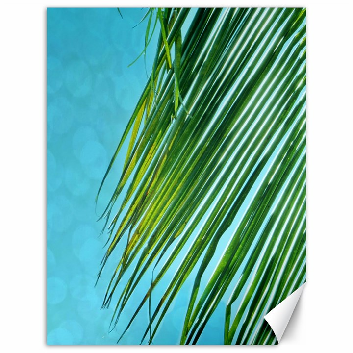 Tropical Palm Canvas 12  x 16 