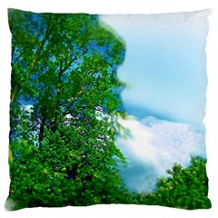 Airbrushed Sky Large Cushion Case (one Side) by Fractalsandkaleidoscopes