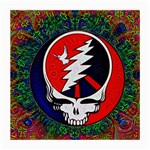 Grateful Dead Medium Glasses Cloth Front