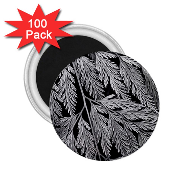 Fern Leaves Foliage Black And White 2.25  Magnets (100 pack) 