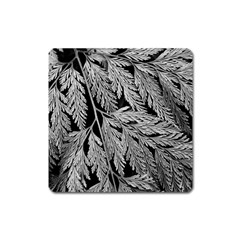 Fern Leaves Foliage Black And White Square Magnet by Vaneshart