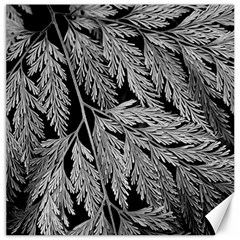 Fern Leaves Foliage Black And White Canvas 12  X 12  by Vaneshart