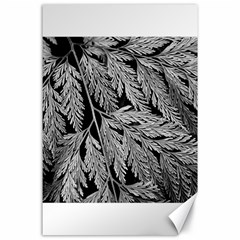 Fern Leaves Foliage Black And White Canvas 24  X 36  by Vaneshart