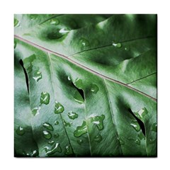 Green Wet Rain Water Drops Plant Tile Coaster by Vaneshart