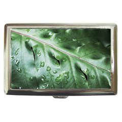 Green Wet Rain Water Drops Plant Cigarette Money Case