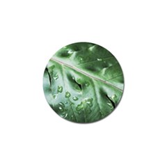 Green Wet Rain Water Drops Plant Golf Ball Marker (10 Pack) by Vaneshart