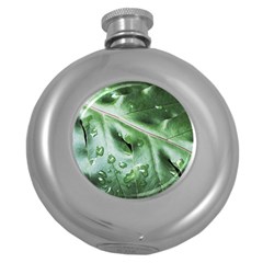 Green Wet Rain Water Drops Plant Round Hip Flask (5 Oz) by Vaneshart