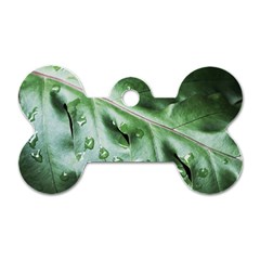 Green Wet Rain Water Drops Plant Dog Tag Bone (two Sides) by Vaneshart