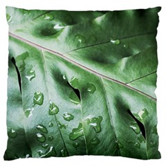 Green Wet Rain Water Drops Plant Standard Flano Cushion Case (one Side) by Vaneshart