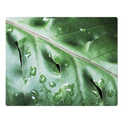 Green Wet Rain Water Drops Plant Double Sided Flano Blanket (large)  by Vaneshart