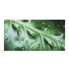 Green Wet Rain Water Drops Plant Satin Wrap by Vaneshart