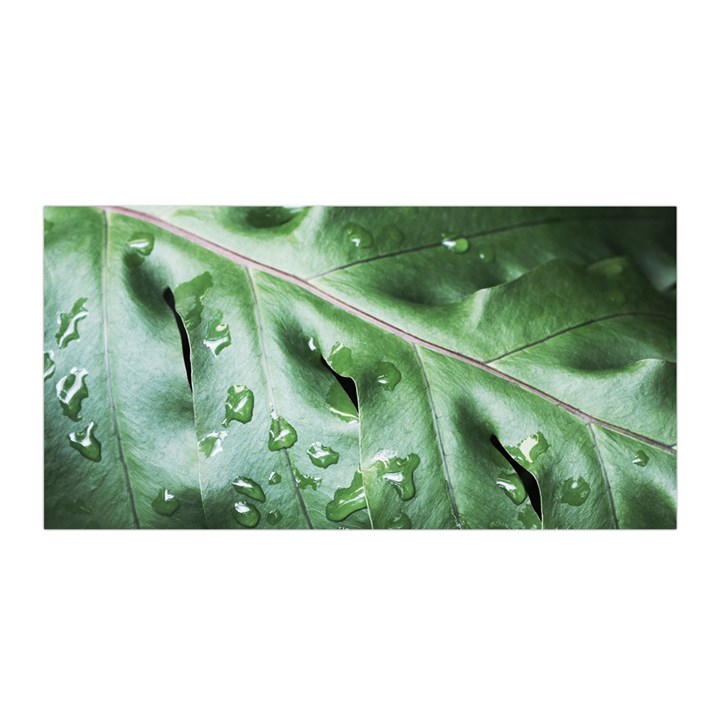 Green Wet Rain Water Drops Plant Satin Wrap