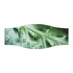 Green Wet Rain Water Drops Plant Stretchable Headband by Vaneshart