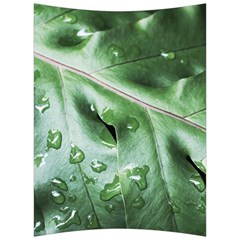 Green Wet Rain Water Drops Plant Back Support Cushion by Vaneshart