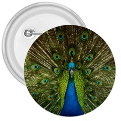 Peacock Feathers Bird Nature 3  Buttons by Vaneshart