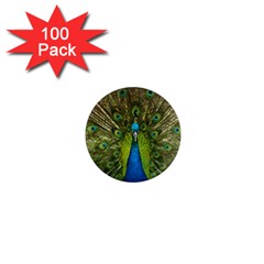 Peacock Feathers Bird Nature 1  Mini Magnets (100 Pack)  by Vaneshart