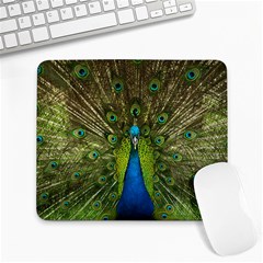 Peacock Feathers Bird Nature Large Mousepads by Vaneshart