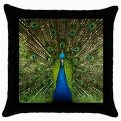 Peacock Feathers Bird Nature Throw Pillow Case (black) by Vaneshart