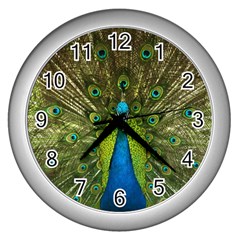 Peacock Feathers Bird Nature Wall Clock (silver) by Vaneshart