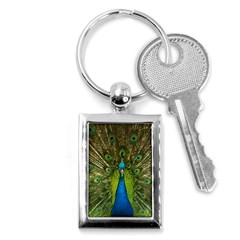 Peacock Feathers Bird Nature Key Chain (rectangle) by Vaneshart