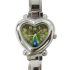 Peacock Feathers Bird Nature Heart Italian Charm Watch by Vaneshart