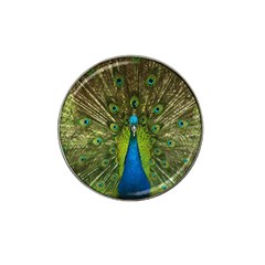 Peacock Feathers Bird Nature Hat Clip Ball Marker (10 Pack) by Vaneshart