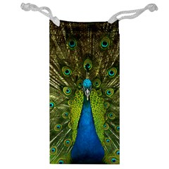 Peacock Feathers Bird Nature Jewelry Bag by Vaneshart