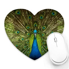 Peacock Feathers Bird Nature Heart Mousepads by Vaneshart