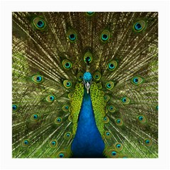 Peacock Feathers Bird Nature Medium Glasses Cloth (2 Sides) by Vaneshart