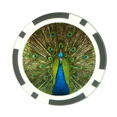 Peacock Feathers Bird Nature Poker Chip Card Guard by Vaneshart