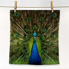 Peacock Feathers Bird Nature Face Towel by Vaneshart