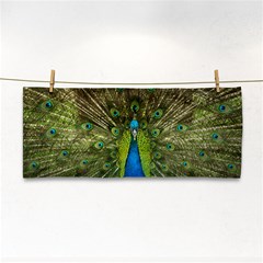 Peacock Feathers Bird Nature Hand Towel by Vaneshart