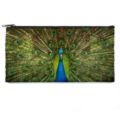 Peacock Feathers Bird Nature Pencil Cases by Vaneshart