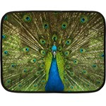 Peacock Feathers Bird Nature Double Sided Fleece Blanket (Mini)  35 x27  Blanket Front