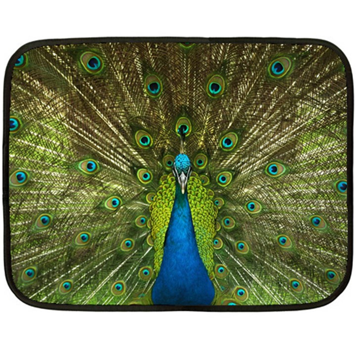 Peacock Feathers Bird Nature Double Sided Fleece Blanket (Mini) 