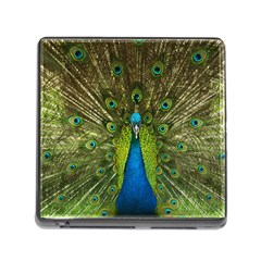 Peacock Feathers Bird Nature Memory Card Reader (square 5 Slot) by Vaneshart