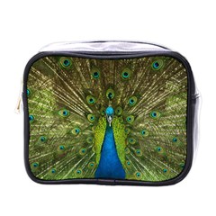 Peacock Feathers Bird Nature Mini Toiletries Bag (one Side) by Vaneshart