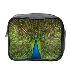 Peacock Feathers Bird Nature Mini Toiletries Bag (two Sides) by Vaneshart