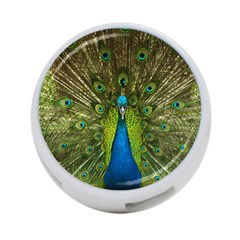 Peacock Feathers Bird Nature 4-port Usb Hub (two Sides) by Vaneshart