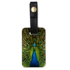 Peacock Feathers Bird Nature Luggage Tag (one Side) by Vaneshart