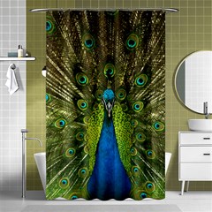 Peacock Feathers Bird Nature Shower Curtain 48  X 72  (small)  by Vaneshart