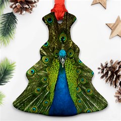 Peacock Feathers Bird Nature Christmas Tree Ornament (two Sides) by Vaneshart