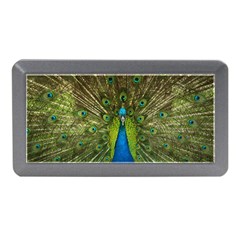 Peacock Feathers Bird Nature Memory Card Reader (mini) by Vaneshart