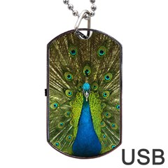 Peacock Feathers Bird Nature Dog Tag Usb Flash (one Side) by Vaneshart