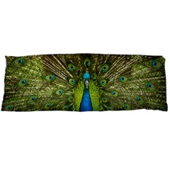 Peacock Feathers Bird Nature Body Pillow Case (dakimakura) by Vaneshart