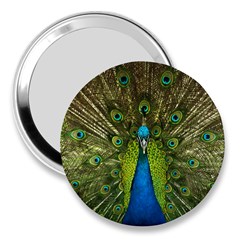 Peacock Feathers Bird Nature 3  Handbag Mirrors by Vaneshart