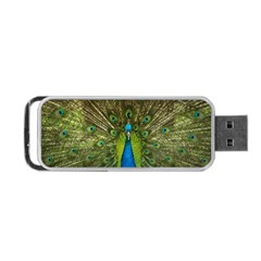 Peacock Feathers Bird Nature Portable Usb Flash (one Side) by Vaneshart